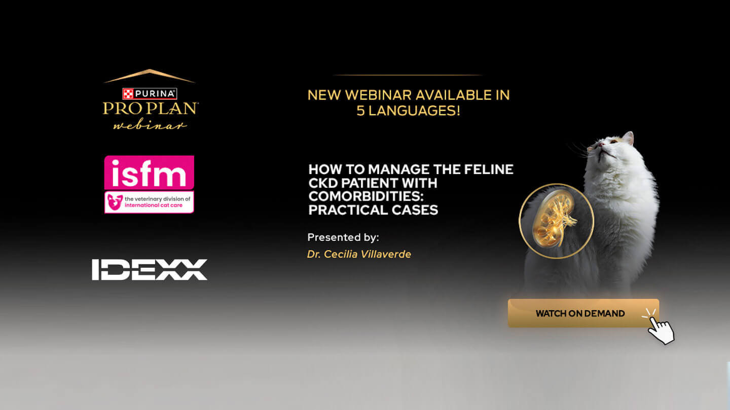 Watch the recording of the webinar “How to manage the CKD patient with Comorbidities"