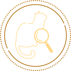 Illustration af en kat med et forstørrelsesglas, der symboliserer trin for regelmæssige screeninger.