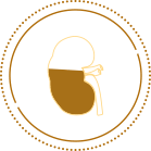 Illustration af en katte nyre, der symboliserer det tidlige diagnose trin.