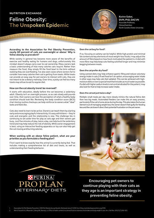 Feline Obesity, The Unspoken Epidemic