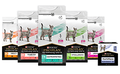 Veterinærfoder til katte og relaterede produkter