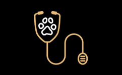 Veterinærakademi for dyrlæger