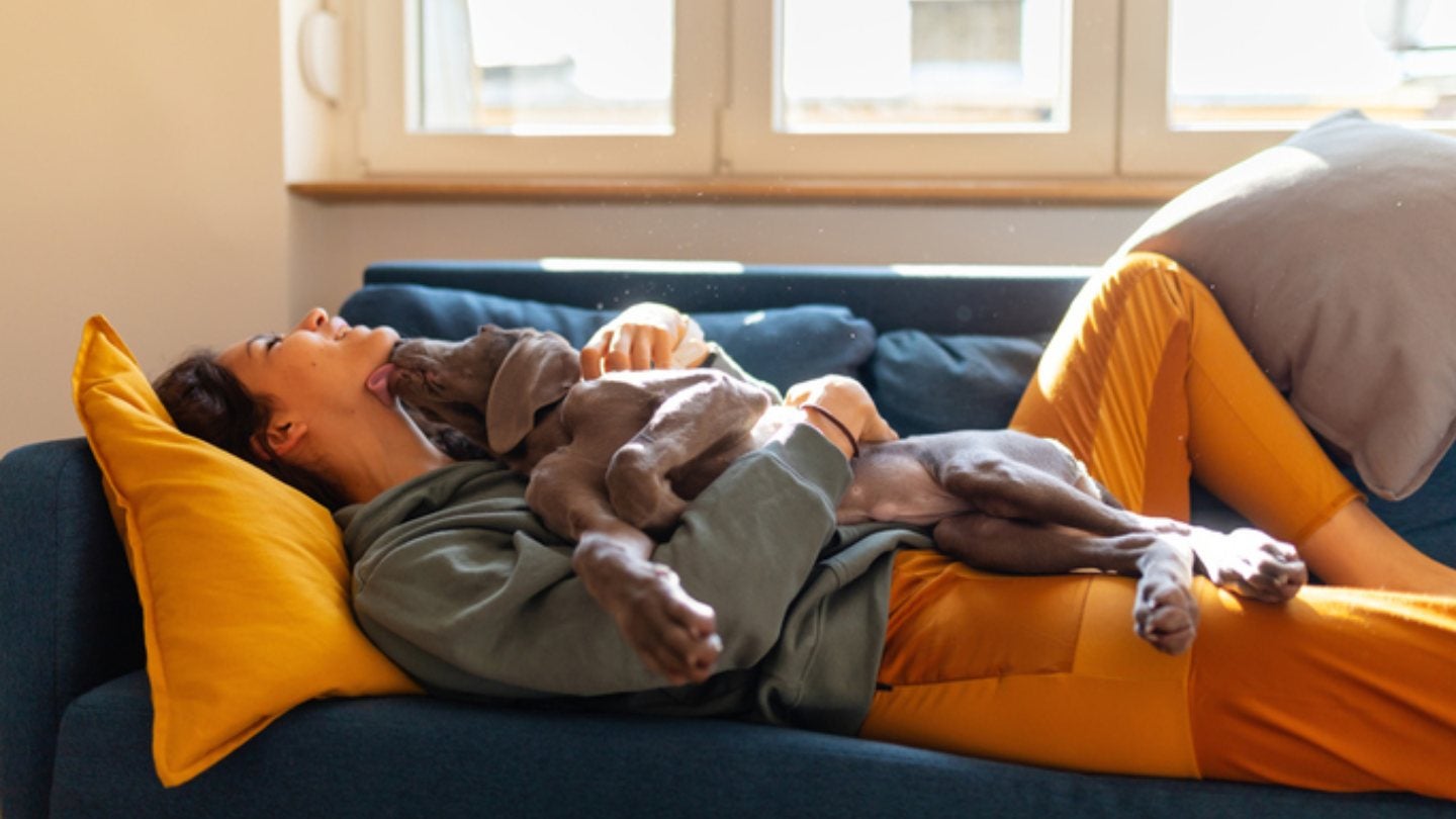 Assessing the Quality of Life of Dogs with Inflammatory Bowel Disease and Their Owners