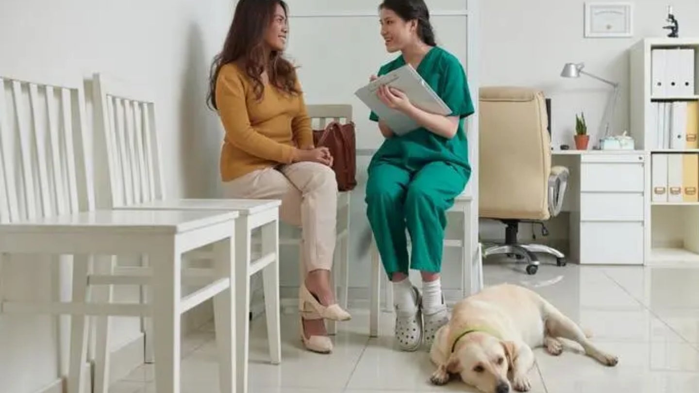 Current diagnostics for chronic enteropathies in dogs