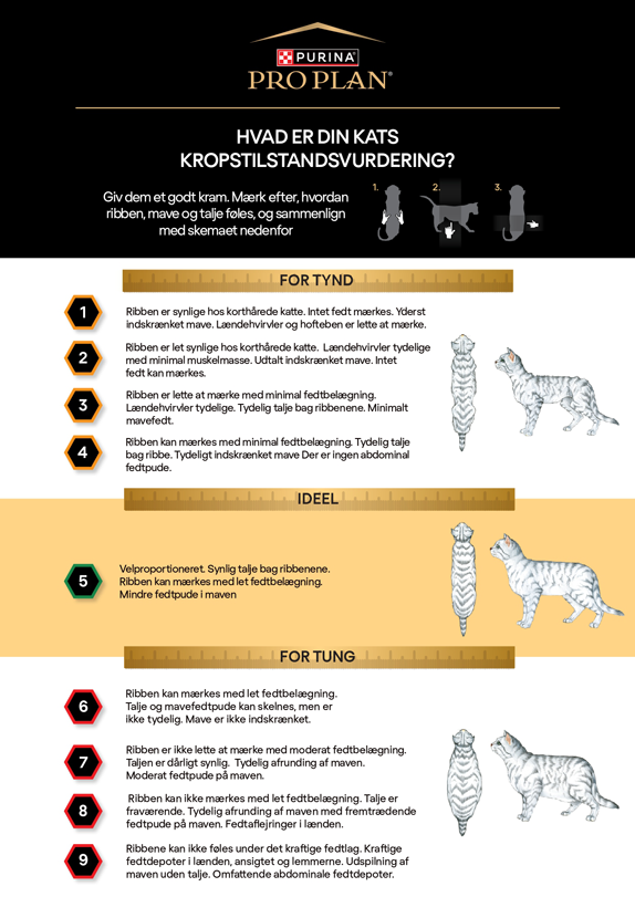 Body Condition System