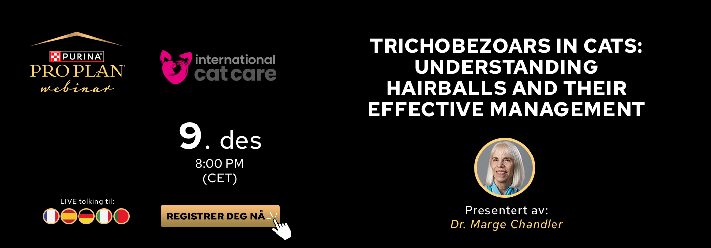 Webinar om trichobezoarer og hårboller hos katte med Dr. Marge Chandler.