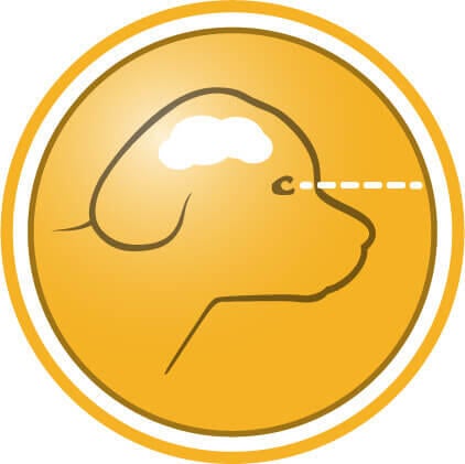 Til sund udvikling af hjerne og syn