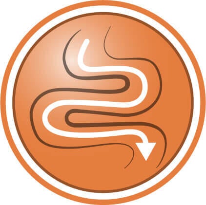 Letfordøjelig formel