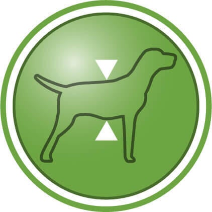 Hjælper med at opretholde den magre kropsmasse