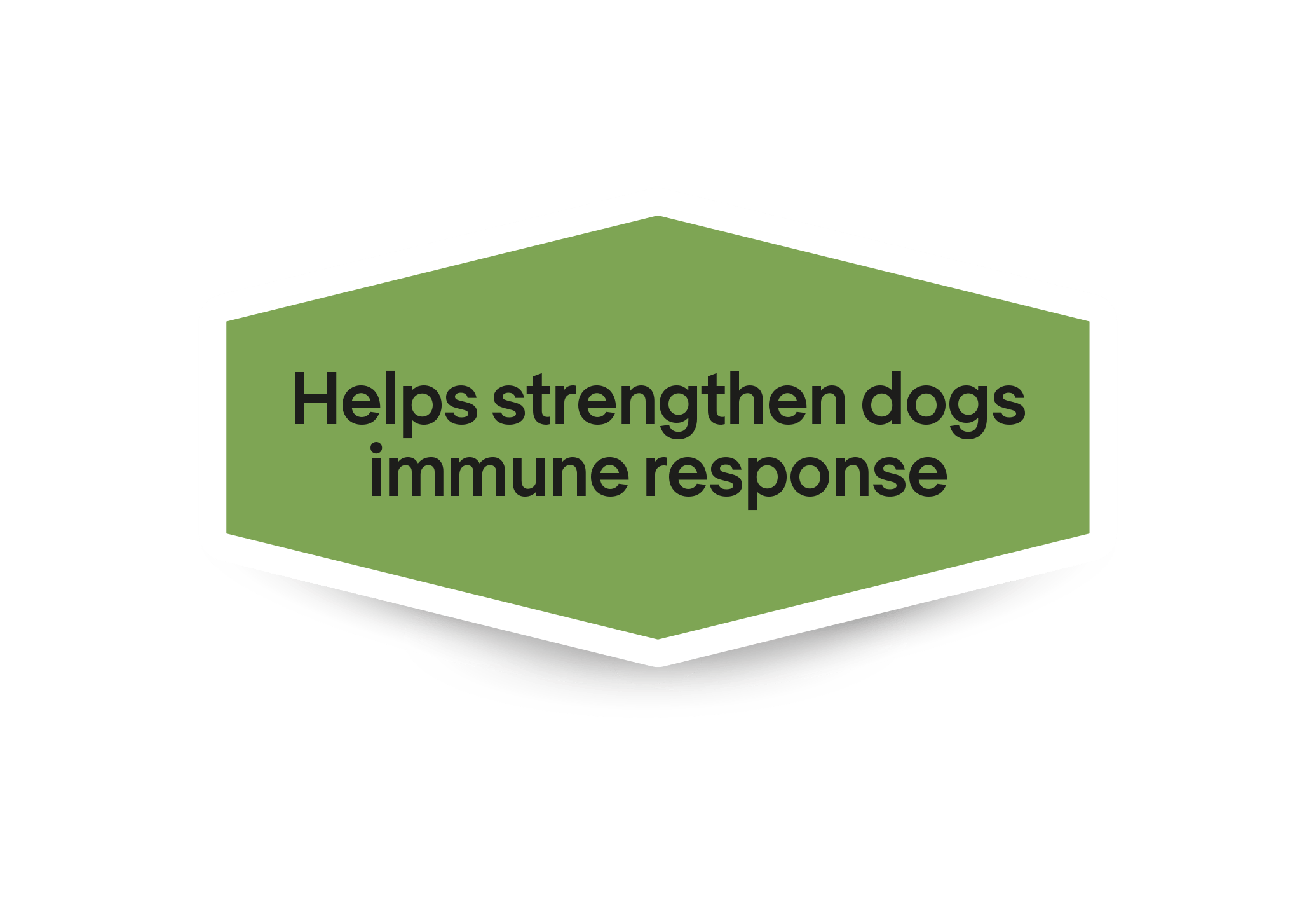 Hjælper med at styrke hundes immunforsvar