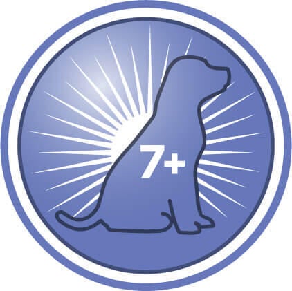 Hjælper med at øge aktivitetsniveauet, livlighed og interaktion i legetiden for ældre hunde