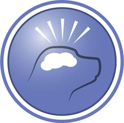 Påvist at hjælpe med at støtte kognitiv funktion og øge aktivitetsniveauet