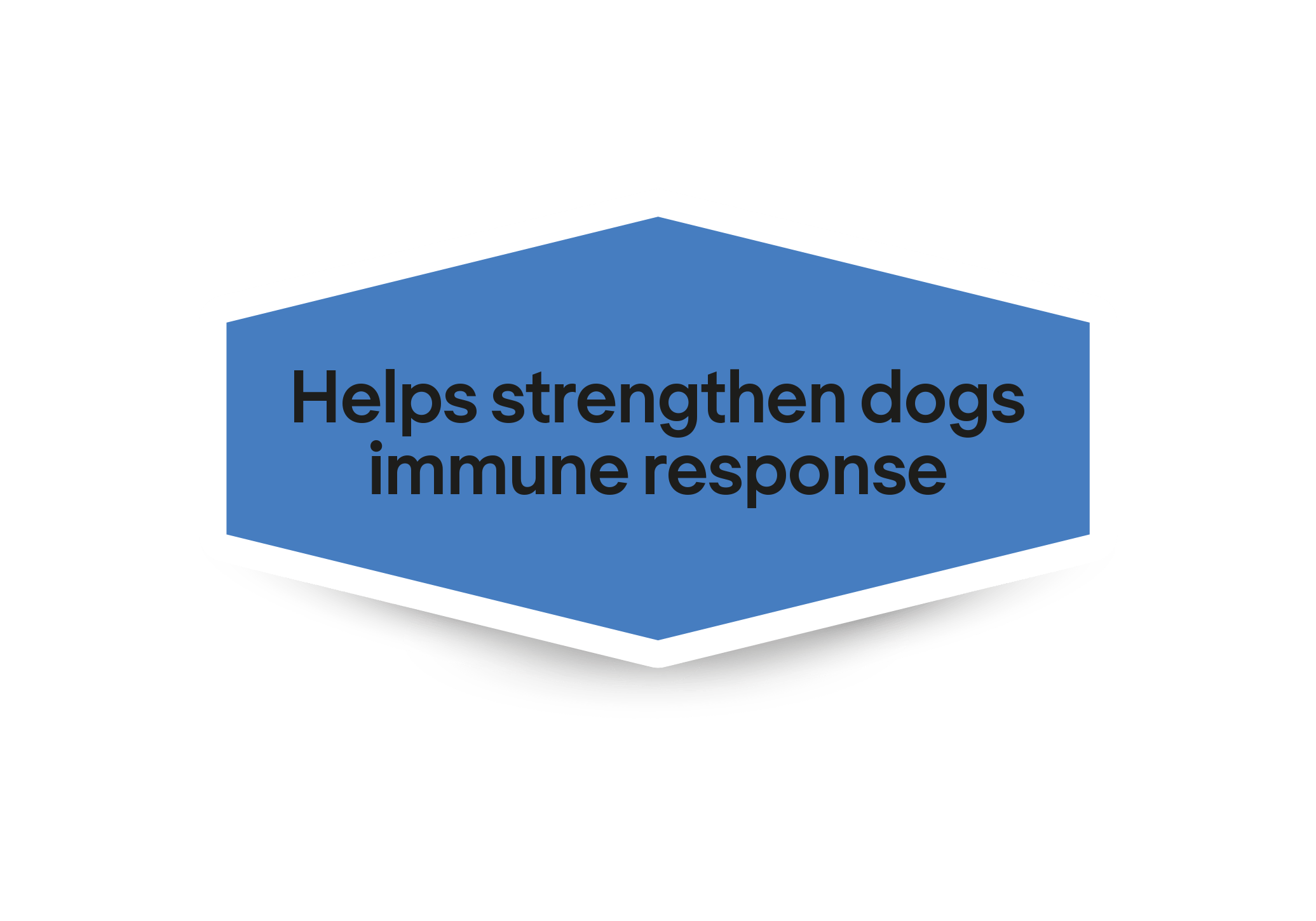 Hjælper med at styrke hundes immunforsvar
