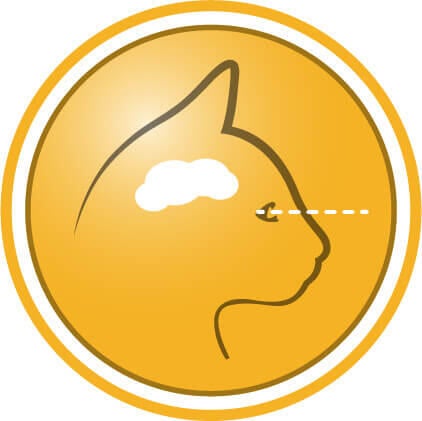 Hjælper med at understøtte et sundt syn og hjerneudvikling