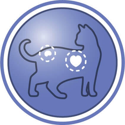 Hjælper med at understøtte vigtige vitale funktioner hos katte over 7 år