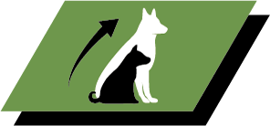 Sund vækst og langsigtet sundhed