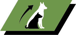 Sund vækst og langsigtet sundhed