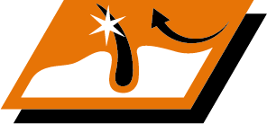 Hold din hunds pels smukt skinnende