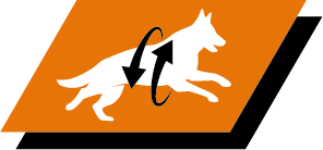 Støtter sunde led og en aktiv livsstil