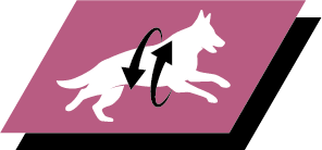 Støtter sunde led og en aktiv livsstil