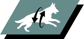 Støtter sunde led og en aktiv livsstil