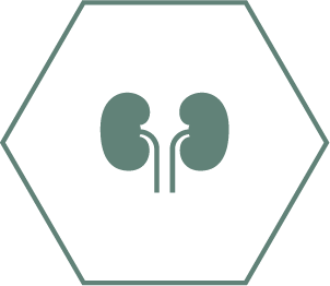 Fremmer sunde nyrer takket være en særlig kombination af næringsstoffer, herunder antioxidanter, arginin og omega-3 fedtsyrer