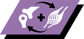 Hjælper med at støtte sunde knogler og muskelvækst