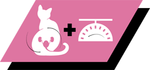 Udviklet til steriliserede katte for at opretholde urinsundhed og ideel kropsvægt