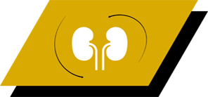 Med arginin, antioxidanter og omega-3 fedtsyrer for at fremme sunde nyrer