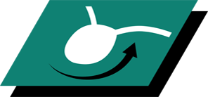 Hjælper med at opretholde urinvejssundheden ved at fremme fortyndet urin ²