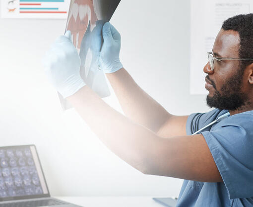 Vet Academy - Veterinærer