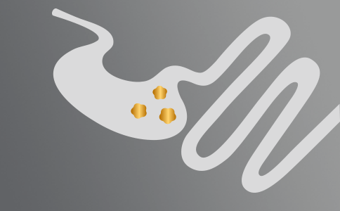 Sundt mave-tarm-system