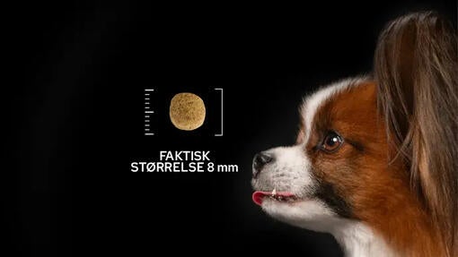 Faktisk størrelse