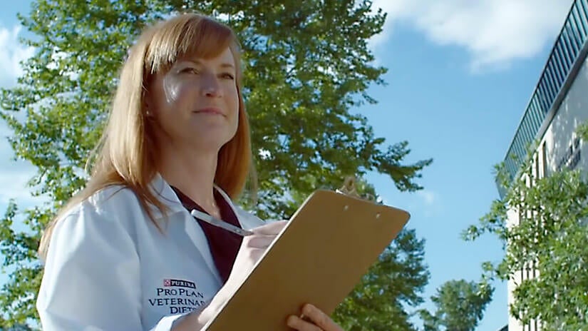 Behandling af gigt hos hunde med JM Joint Mobility Hundefoder