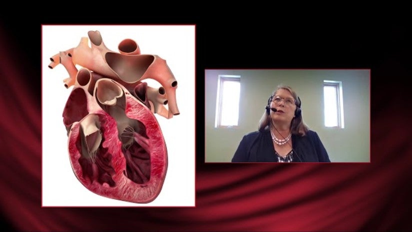 Purina Symposium 2020 – Dr. Dorothy Laflamme – Masterclass