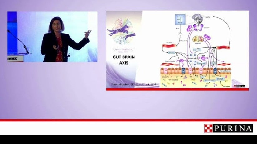 Purina Symposium 2019 – Anna Maria Eleuteri