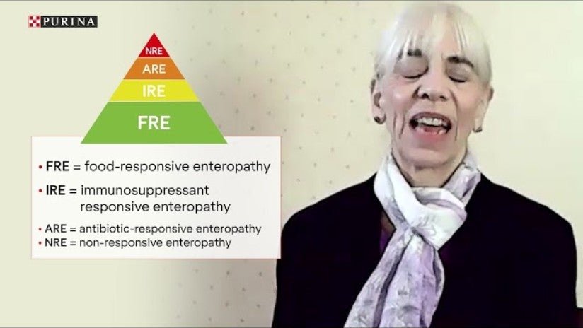 Case-rapport – Hypoallergen – Dr. Marge Chandler