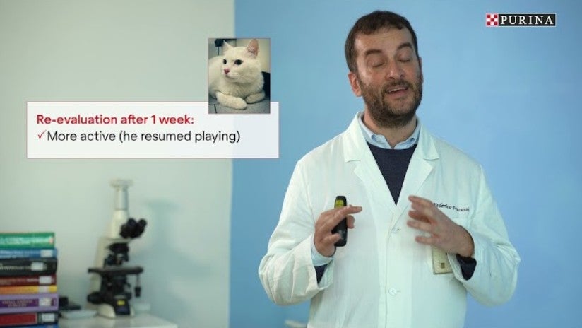 Case-rapport – Diabetesbehandling – Dr. Federico Fracassi