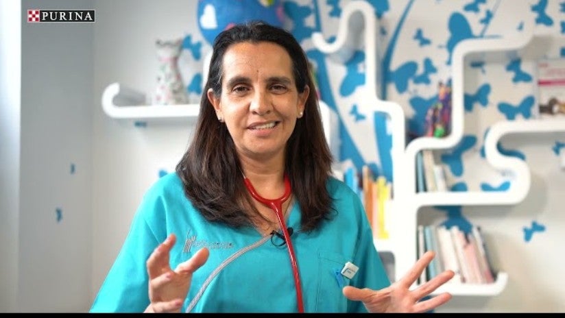 Europæiske opinionslederes erfaringer med Purina