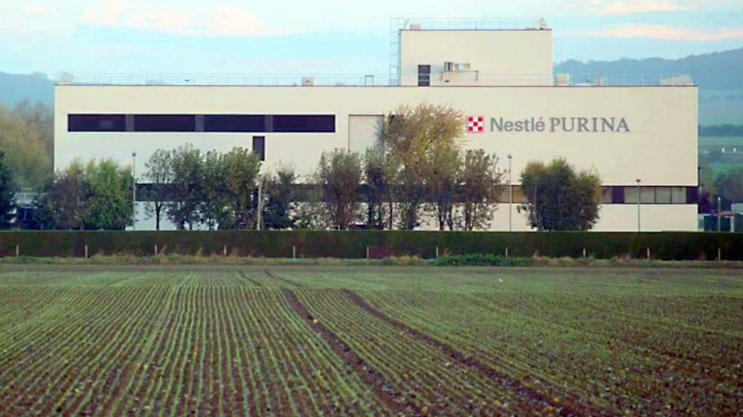 Passioneret omkring ernæring | Mød Purina